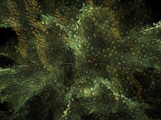 Imaginatory fractal background Image