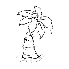 Vector hand drawn illustration of a tropical palm tree on the coast in doodle style. Design for symbol, logo, greeting card, website design, coloring