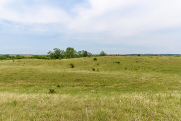 A field in the "Deliblatska pescara" in Serbia. Deliblato Sands is a large area covering around 300 km² of ground in Vojvodina province, Serbia