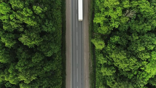 One Semi Truck with white trailer and cab driving / traveling alone on dense flat forest asphalt straight empty road, highway top down view follow vehicle aerial footage / Freeway trucks traffic
