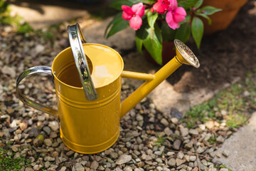 Close up of a yellow watering can used for watering plants placed in a sunny garden next to a pink f