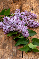lilac flowers on wooden background