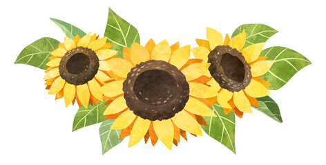 Watercolor Sunflower Clipart Free