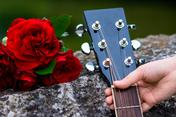 Acoustic guitar headstock and bouquet of red roses close up
