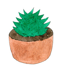 Green cactus in a brown pot. Cartoon succulent illustration. Funny watercolor doodle art. Children hand drawn picture. Positive summer illustration. Doodling style.