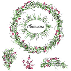 Botanical collection of green herbs. Hand drawn wreath of plants and algae on a white background. Algae for the aquarium.