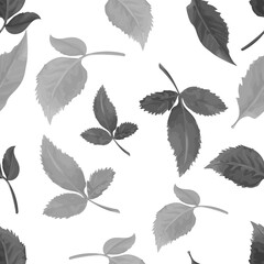 Monochrome seamless pattern with leaves on a white background. Hand drawn. Vector illustration.