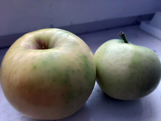 apples on a white background