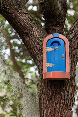 Magic Fairy door in a tree trunk