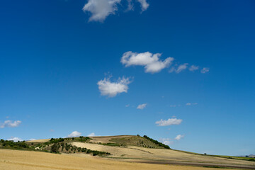 Obraz premium desert