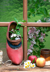 flowers in pot