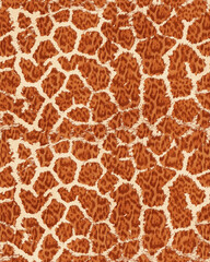 Monochrome Style Animal Mix Pattern Textured Surface Trendy Colors Seamless Pattern Leopard Background Giraffe Stripes