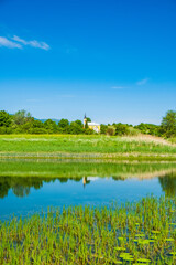 Fototapeta na wymiar Beautiful green landscape in Lika region on Svica lake, Croatia 