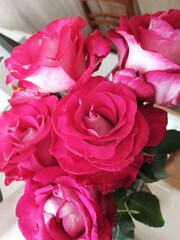 bouquet of pink roses