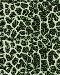 Obraz premium Monochrome Style Animal Mix Pattern Textured Surface Trendy Colors Seamless Pattern Leopard Background Giraffe Stripes