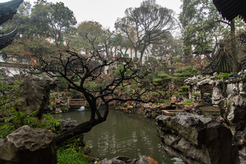 February 2019. A rainy day at Yuyuan Garden. It is a classic Chinese garden that rises in the northeast of Shanghai's old city.