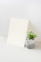 Greeting card with blooming houseplant and blank paper sheet.