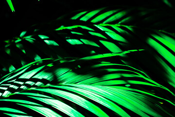 abstract green background with glowing lines