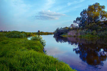 summer landscape with lake