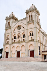 Fototapeta na wymiar Tunis, TUNISIA - February 06, 2009: Saint Louis Cathedral, Cartago