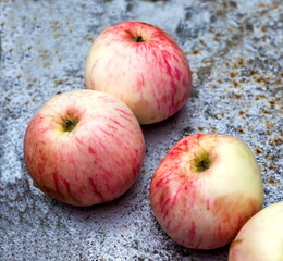 Apples on gray background