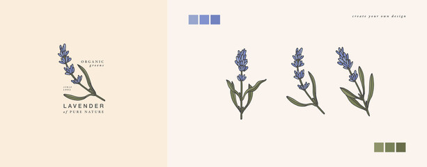 Vector illustration lavender branch - vintage engraved style. Logo composition in retro botanical style.