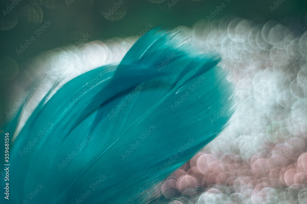 Poster Close up Beautiful blue Bird feather pattern on a bokeh background for design texture.