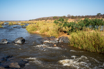 Naklejka na ściany i meble rivière Letaba, Parc national Kruger, Afrique du Sud