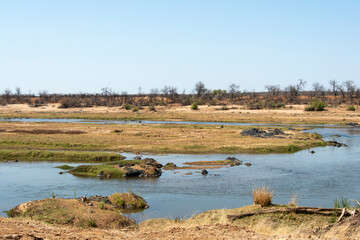 Fototapeta na wymiar rivière Letaba, Parc national Kruger, Afrique du Sud