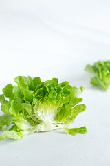  Fresh butter head of green lettuce leaves