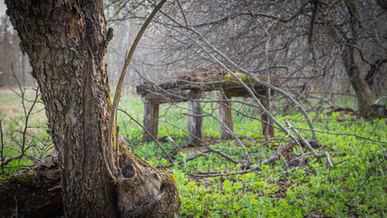 The nature of an abandoned village