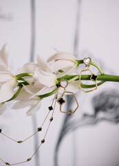 Beautiful jewellery set of earrings and a necklace hanging on cymbidium branch, close up view 