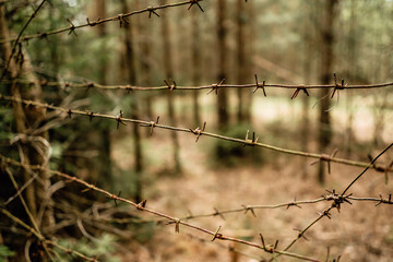 barbed metal wire, prison camp, restricted area