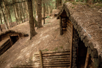 old military dugout in the forest