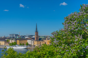 View of Stockholm from Sodermalm district. Panorama of the old town (Gamla Stan). Panorama with liliac bush.