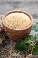 Raw Organic Amaranth Grain in a Bowl witnAmaranth plant on Rustic wooden background. Healthy colorful gluten free food concept