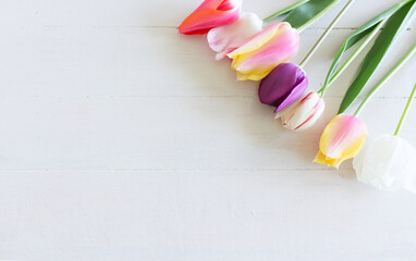 Styled stock photo. Spring feminine scene, floral composition. Bunch of beautiful tulips on white background. Flat lay, top view.Empty space for your text.