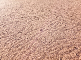 Dry ground texture with exotic wave characteristics caused by wind blowing in the top view