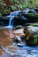 Leura Cascades Blue Mountains Australia