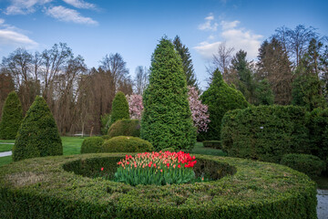 Botanic park in Slovenia. Visiting arboretum in spring season. Colorful landscape