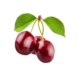 Cherry isolated on white background with clipping path