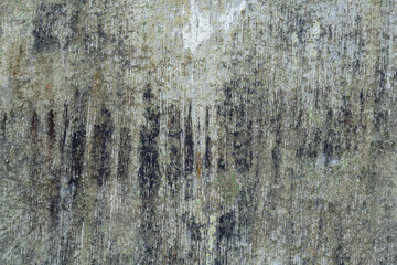 old concrete wall  with dark grey stains