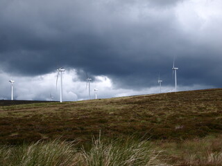 Wind Farm in Scotland