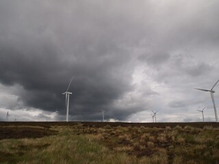 Wind Farm in Scotland