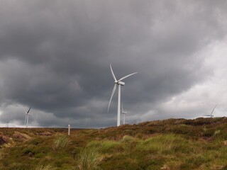 Wind Farm in Scotland