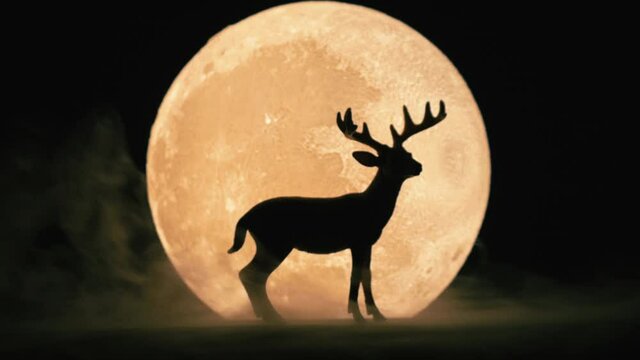 deer, animal, silhouette, moon, lunar, nature, wildlife