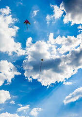 Fototapeta na wymiar Kite in the sky with clouds