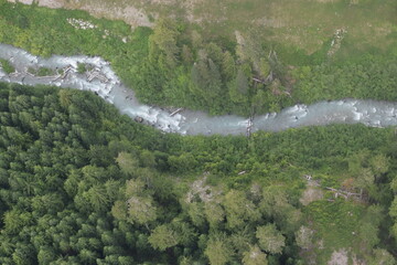 River in the woods