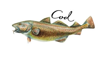 Cod