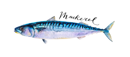 Mackerel